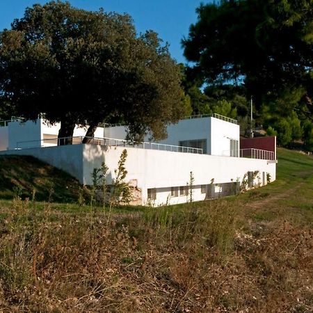 Villa Zagare Mattinata Bagian luar foto