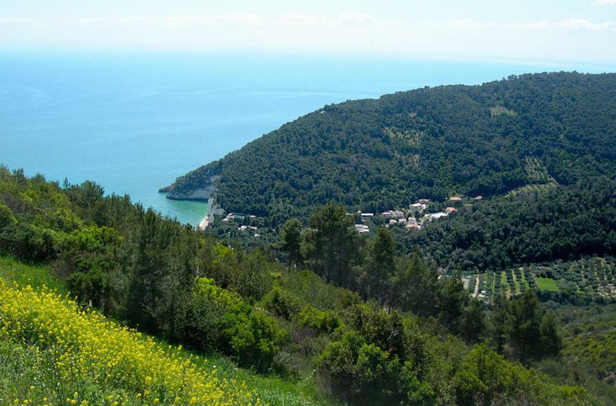 Villa Zagare Mattinata Bagian luar foto