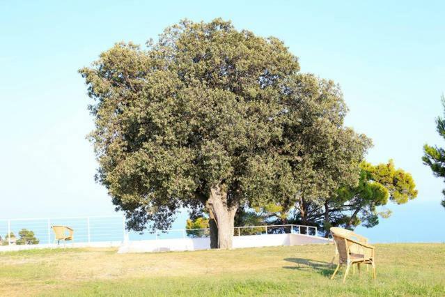 Villa Zagare Mattinata Bagian luar foto